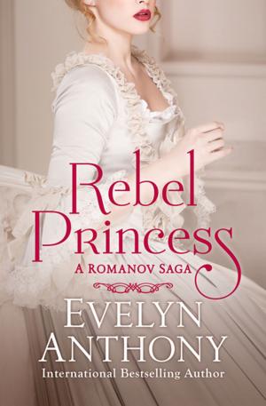 Cover of the book Rebel Princess by Kate Thompson