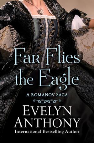 Cover of the book Far Flies the Eagle by Paula Fox