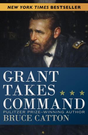 Cover of the book Grant Takes Command by Alan Sillitoe