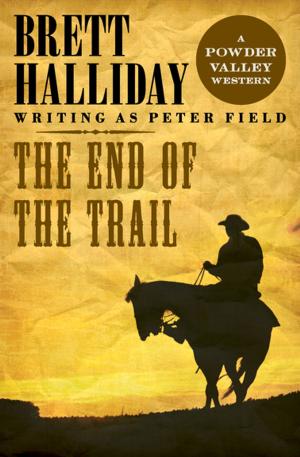 Cover of the book The End of the Trail by Campbell Armstrong