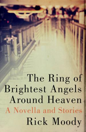 Cover of the book The Ring of Brightest Angels Around Heaven by May Sarton