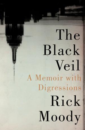 Cover of the book The Black Veil by Jennifer Preston