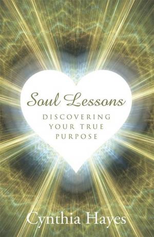 Cover of the book Soul Lessons by Elison McAllaster