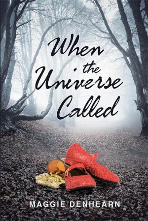Cover of the book When the Universe Called by Klaus Seibel