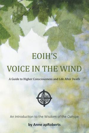 Cover of the book Eoih's Voice in the Wind by Claudia Di Silvio L.