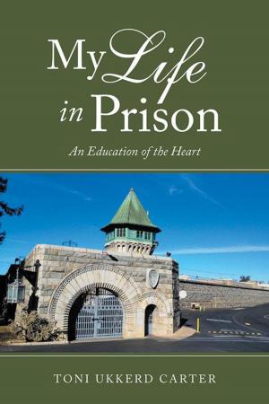 Cover of the book My Life in Prison by Daniel J. Lovett