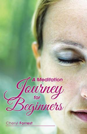 Cover of the book A Meditation Journey for Beginners by Terry Benczik