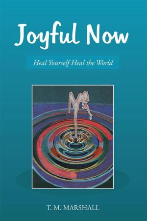 Cover of the book Joyful Now by Betsy Adams (Shoh Nah Hah Lieh)