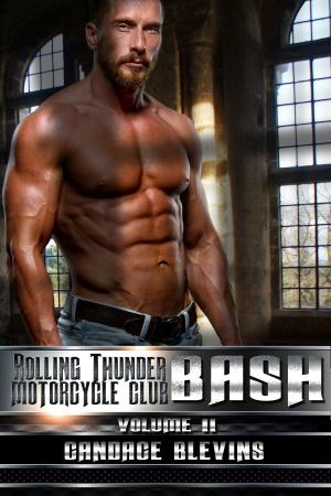 Cover of the book Bash, Volume II by Adrianne James