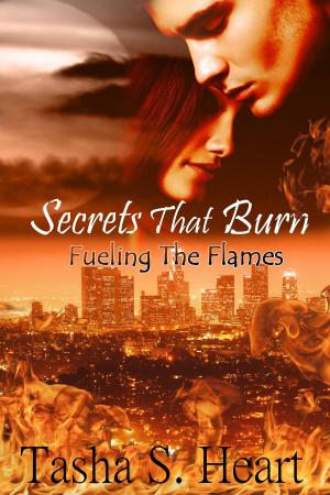 Cover of the book Secrets That Burn by G.H. Roberts