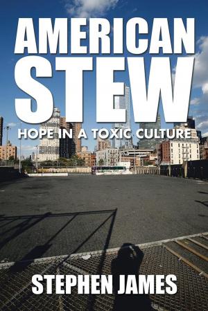 Book cover of American Stew
