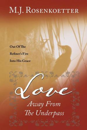 Cover of the book Love Away from the Underpass by T.I. Han