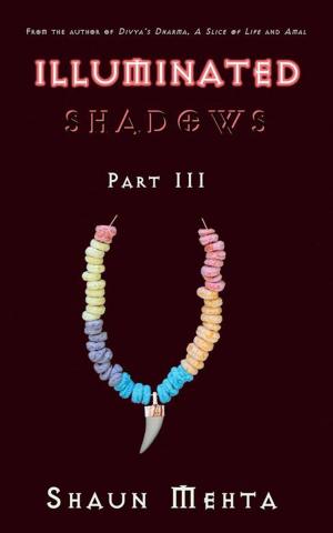 Cover of the book Illuminated Shadows by Parker Williams