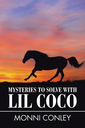 bigCover of the book Mysteries to Solve with Lil Coco by 