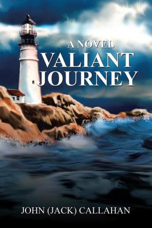 Cover of the book Valiant Journey by Sonia Dianna Pryme