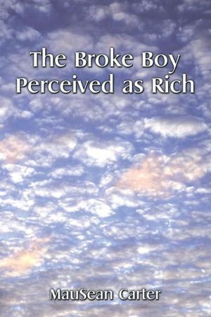 Cover of the book The Broke Boy Perceived as Rich by Lauren Solomon