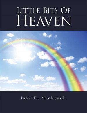 Cover of the book Little Bits of Heaven by DR M. L. NICHOLS