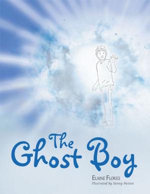 Cover of the book The Ghost Boy by Michelle Frazier Trotman Scott, Camille Trotman, Charlean Scott, Tayla Scott