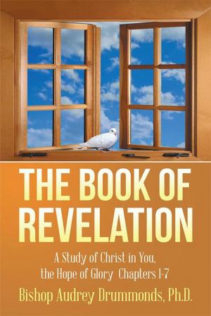 Cover of the book The Book of Revelation by Raquel Eldridge, Shawnte Henderson-Foster