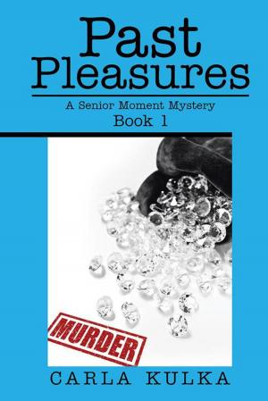 Cover of the book Past Pleasures by JoAnn Fastoff
