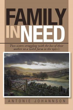 bigCover of the book Family in Need by 