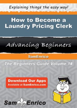 Book cover of How to Become a Laundry Pricing Clerk