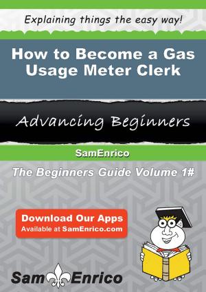 bigCover of the book How to Become a Gas Usage Meter Clerk by 