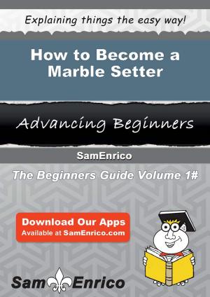 Cover of the book How to Become a Marble Setter by Arvilla Cano