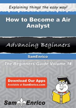 Cover of the book How to Become a Air Analyst by Beatriz Thornhill