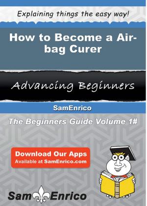 Cover of the book How to Become a Air-bag Curer by Penney Russo