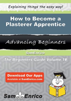 Cover of the book How to Become a Plasterer Apprentice by Bryon Burleson