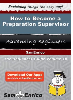 Cover of the book How to Become a Preparation Supervisor by Pertti Aholanka