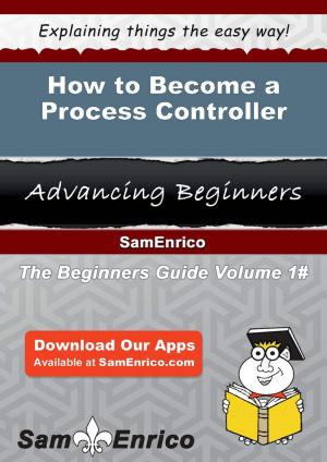 Cover of the book How to Become a Process Controller by Debbie Gordon