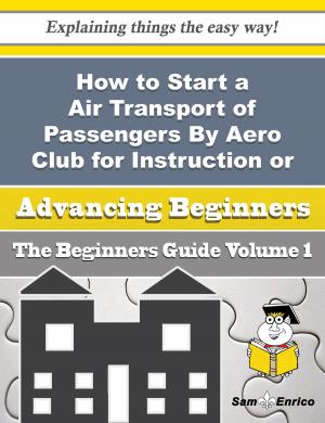 Cover of the book How to Start a Air Transport of Passengers By Aero Club for Instruction or Pleasure Business (Beginn by Lynwood Spriggs