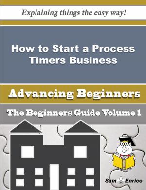 Book cover of How to Start a Process Timers Business (Beginners Guide)