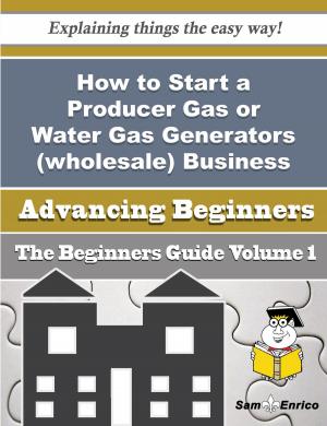Cover of the book How to Start a Producer Gas or Water Gas Generators (wholesale) Business (Beginners Guide) by Burl Pennington