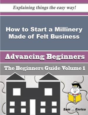 Cover of the book How to Start a Millinery Made of Felt Business (Beginners Guide) by Dianne Wilkerson