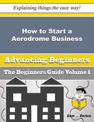 Cover of the book How to Start a Aerodrome Business (Beginners Guide) by Yasmin Aviles