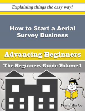 Cover of How to Start a Aerial Survey Business (Beginners Guide)
