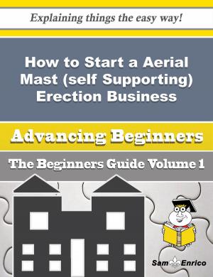 Cover of the book How to Start a Aerial Mast (self Supporting) Erection Business (Beginners Guide) by Brant Booker
