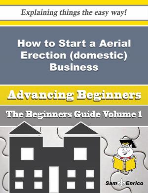 Cover of the book How to Start a Aerial Erection (domestic) Business (Beginners Guide) by Tony Williams