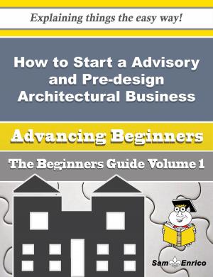 Cover of How to Start a Advisory and Pre-design Architectural Business (Beginners Guide)