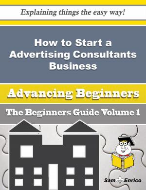 Cover of the book How to Start a Advertising Consultants Business (Beginners Guide) by Lucina Thomson