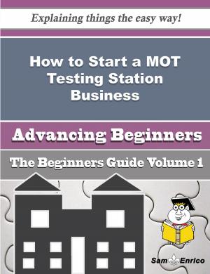 Cover of the book How to Start a MOT Testing Station Business (Beginners Guide) by Andrew D. Ive