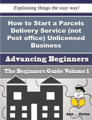 Book cover of How to Start a Parcels Delivery Service (not Post office) Unlicensed Business (Beginners Guide)