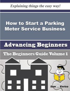 Cover of How to Start a Parking Meter Service Business (Beginners Guide)