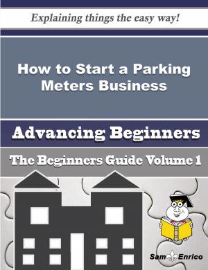 Cover of the book How to Start a Parking Meters Business (Beginners Guide) by Earnestine Mccracken
