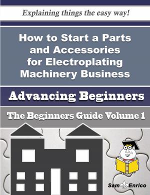 Cover of the book How to Start a Parts and Accessories for Electroplating Machinery Business (Beginners Guide) by Hermelinda Mackenzie