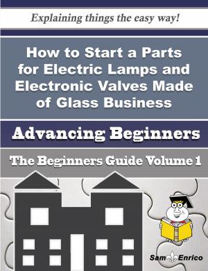 Cover of the book How to Start a Parts for Electric Lamps and Electronic Valves Made of Glass Business (Beginners Guid by Alla Krueger