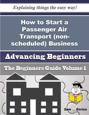 Cover of the book How to Start a Passenger Air Transport (non-scheduled) Business (Beginners Guide) by Leola Doherty